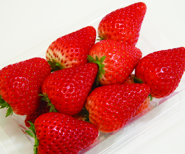 甘くて立派に実った「とちあいか」