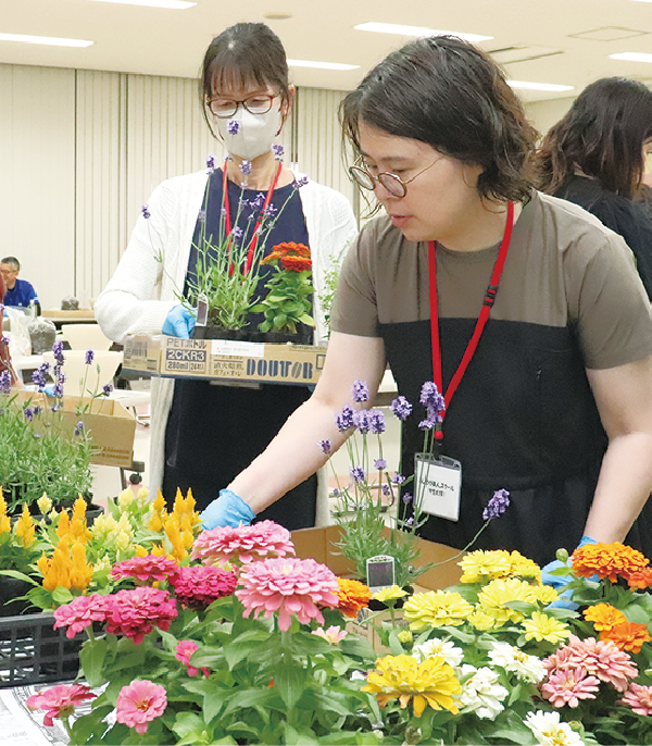 寄せ植え講座で花を選ぶ参加者たち
