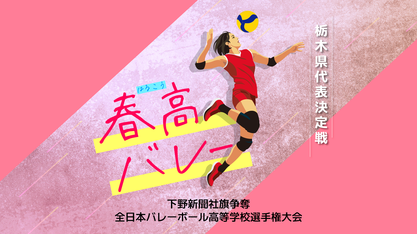 春高バレー栃木県１次予選　セットスコア入り全試合速報《9月20日》