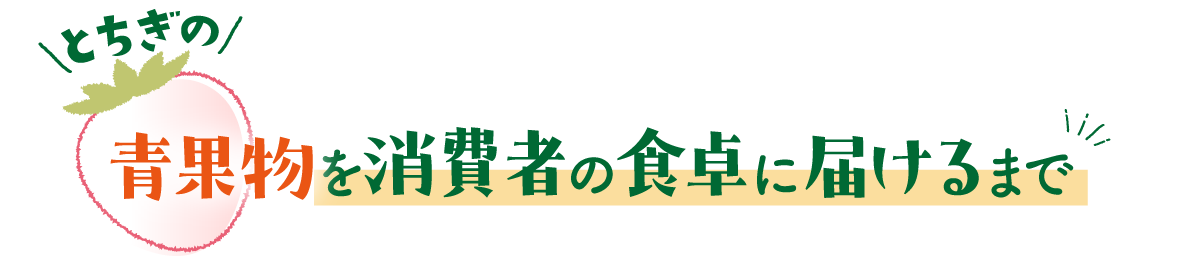 とちぎの青果物を消費者の食卓に届けるまで