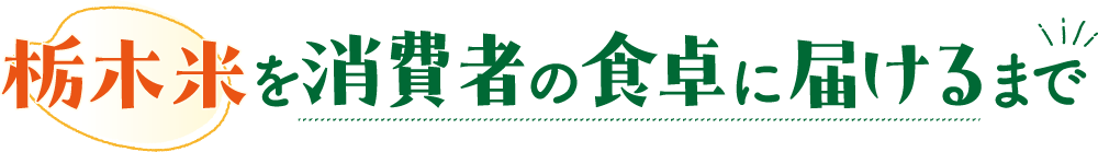 栃木米を消費者の食卓に届けるまで