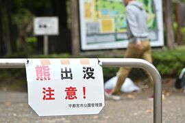 宇都宮市中心部をクマが縦断「ものすごく腕太く、速かった」　7日最後の目撃は姿川地区…