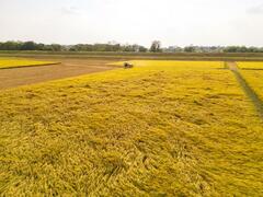 食材確保へ農業法人設立