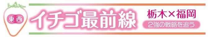 東西イチゴ最前線