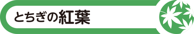 とちぎの紅葉