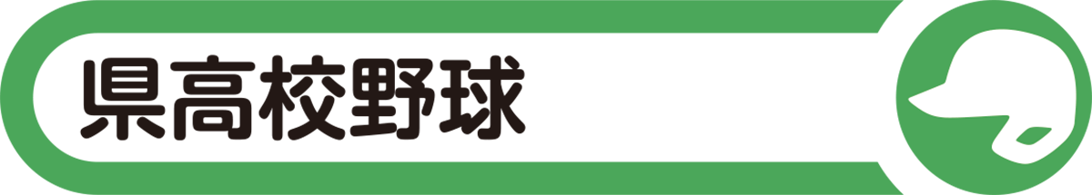 栃木高校野球