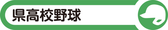 栃木高校野球