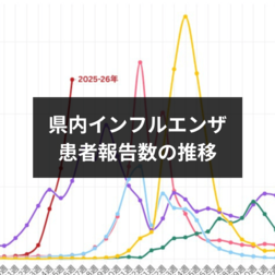 栃木県内インフルエンザ患者数　3週連続減少も警報は継続　報告数推移を過去と比較《3月5日更新》