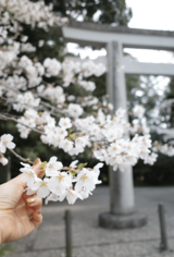 卒業は新たなスタート　大きくなった背中に感じる寂しさと頼も…