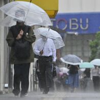 台風６号、栃木県内でも倒木や通行止め被…