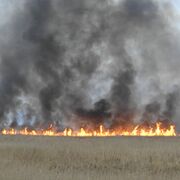 渡良瀬遊水地の火災は通報７時間後に鎮火　ヨシ原70haを焼く　3月7日「ヨシ焼き」…