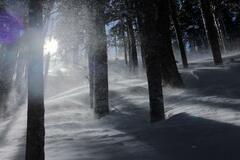 山で地震に遭ったらどうしますか？