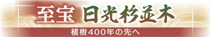 至宝 日光杉並木